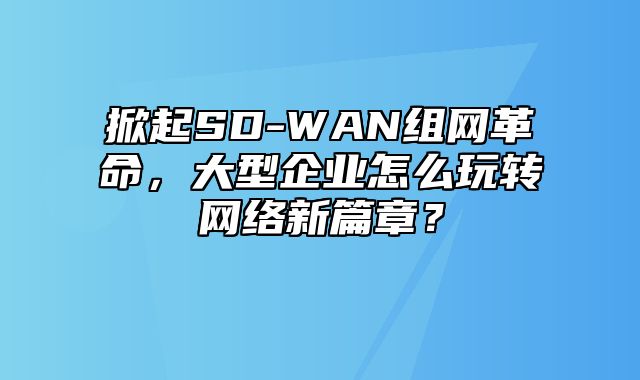 掀起SD-WAN组网革命，大型企业怎么玩转网络新篇章？