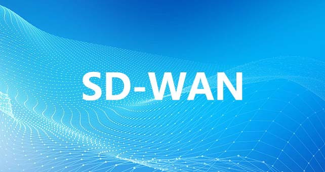 SDWAN组网搭建，一步步带你飞跃云端！