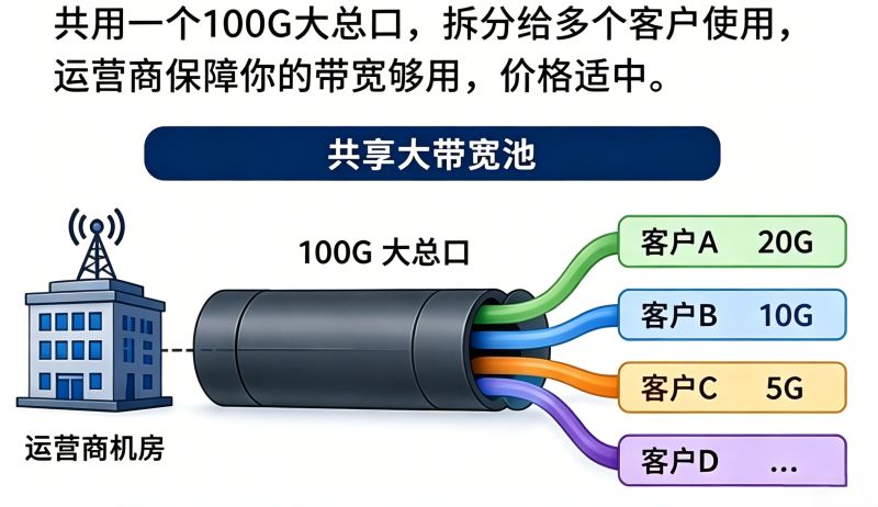 不是所有独享专线都一样，OTN 才是真独占